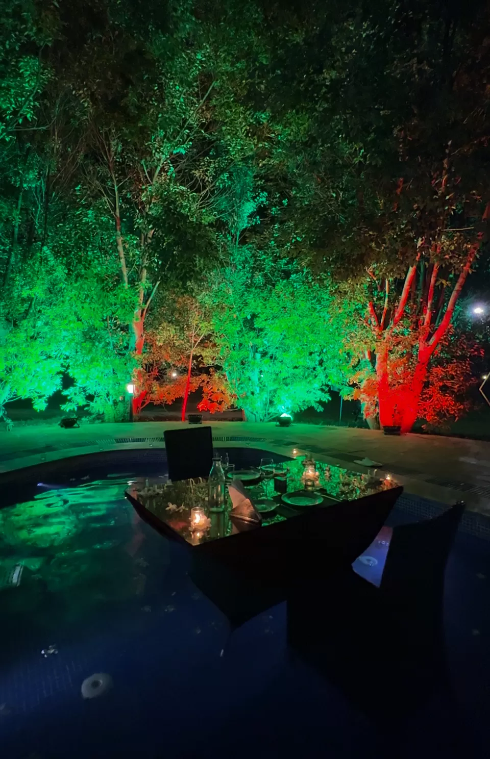 Photo of Where the Wild Meets the Warmth – A Stay at Golden Tusk by Nargis Farheena
