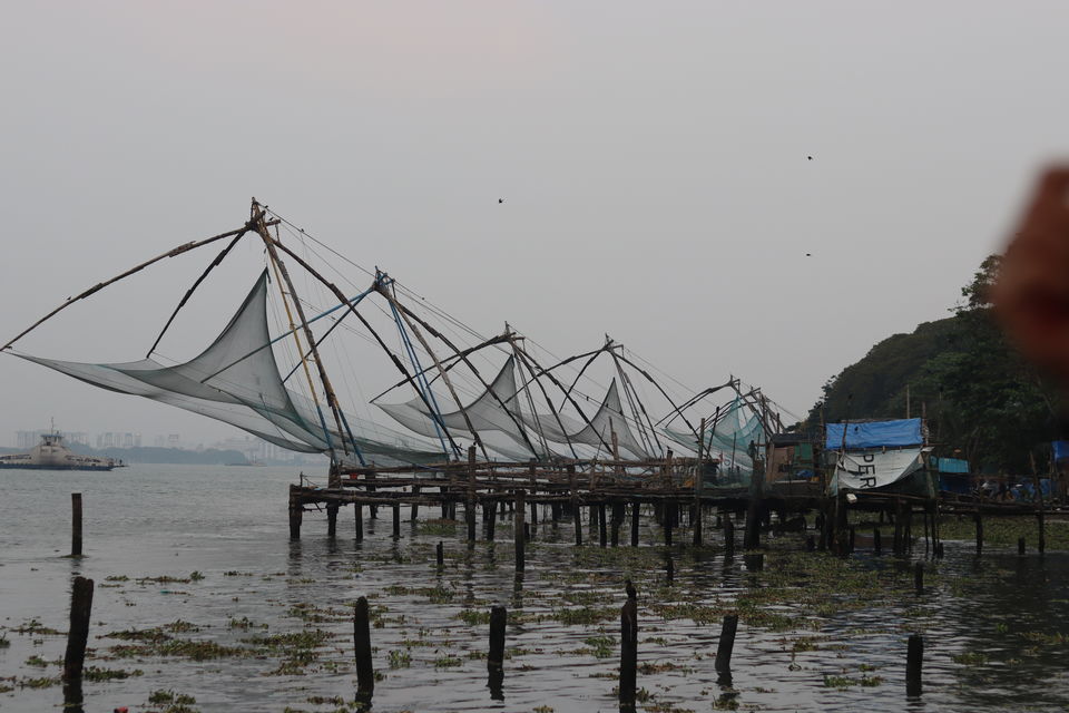 Photo of 3 days of catching Kochi Vibes by Saikat Das