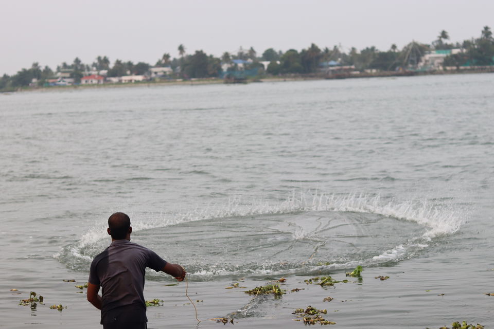 Photo of 3 days of catching Kochi Vibes by Saikat Das