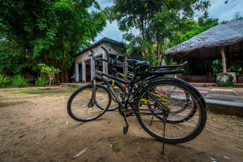 Photo of Beyond Stay Mahua Vann Pench by Aqdas