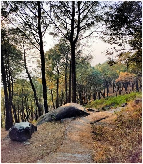 Photo of Bir Beyond Paragliding: A personal guide by Harshil Gupta