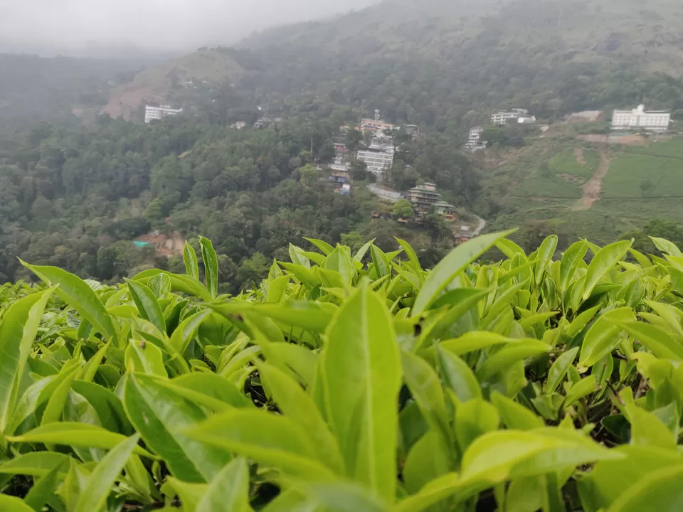 Photo of मॉनसून में मुन्नार: एक अद्भुत यात्रा अनुभव by Nikhil Bhati