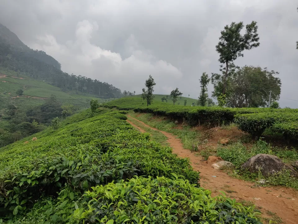 Photo of मॉनसून में मुन्नार: एक अद्भुत यात्रा अनुभव by Nikhil Bhati