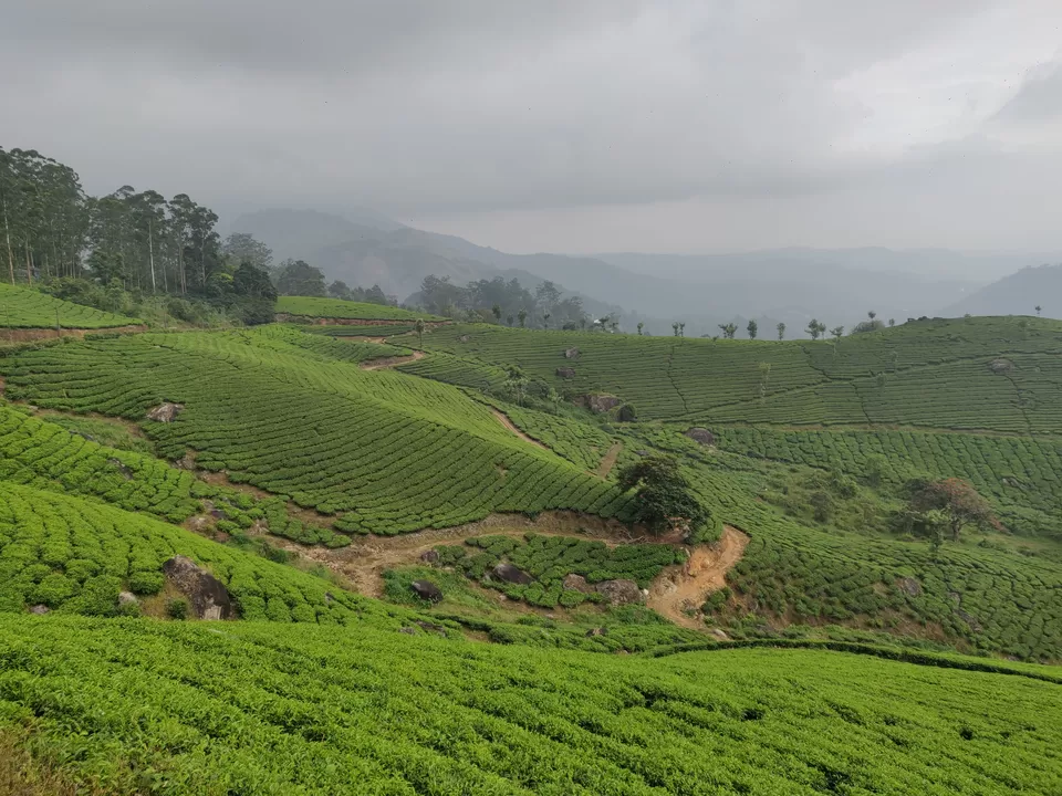 Photo of मॉनसून में मुन्नार: एक अद्भुत यात्रा अनुभव by Nikhil Bhati