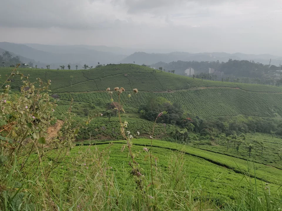 Photo of मॉनसून में मुन्नार: एक अद्भुत यात्रा अनुभव by Nikhil Bhati