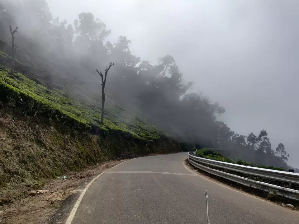 Photo of मॉनसून में मुन्नार: एक अद्भुत यात्रा अनुभव by Nikhil Bhati