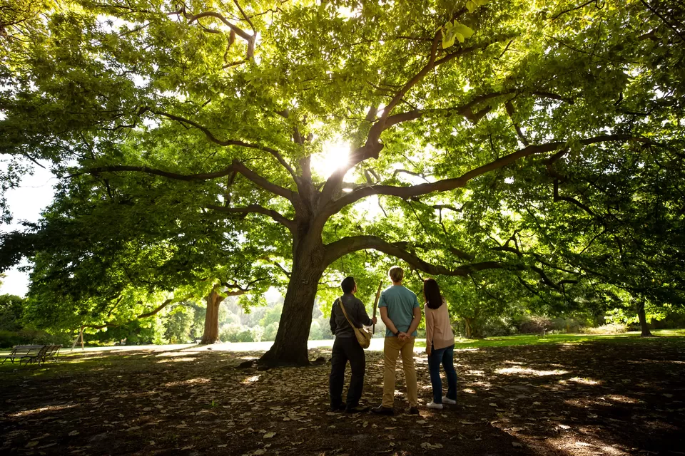 Photo of Melbourne, Victoria by Namrata Das Adhikary 