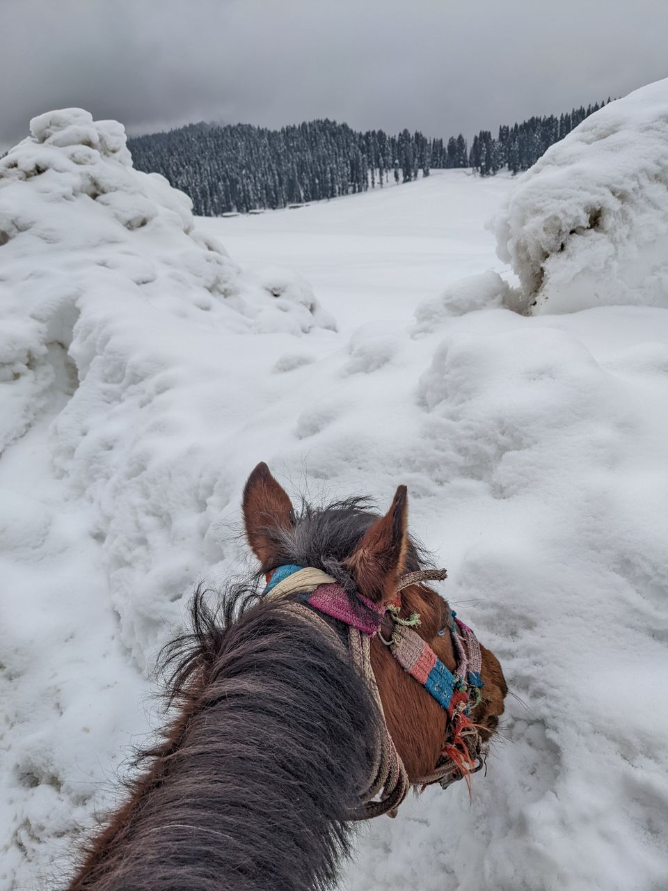 Photo of Kashmir - A 7 day itinerary by Chelsa (the.girl.traveller)