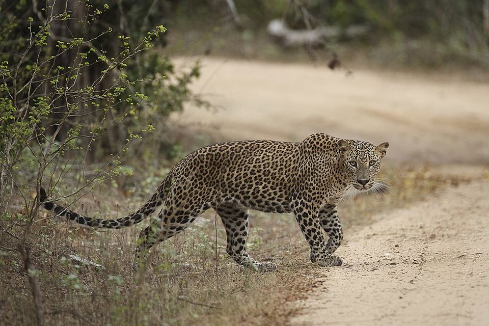 Photo of The Best Family Adventure Holidays – Unforgettable Experiences, Memories to Cherish by Peter Canecias