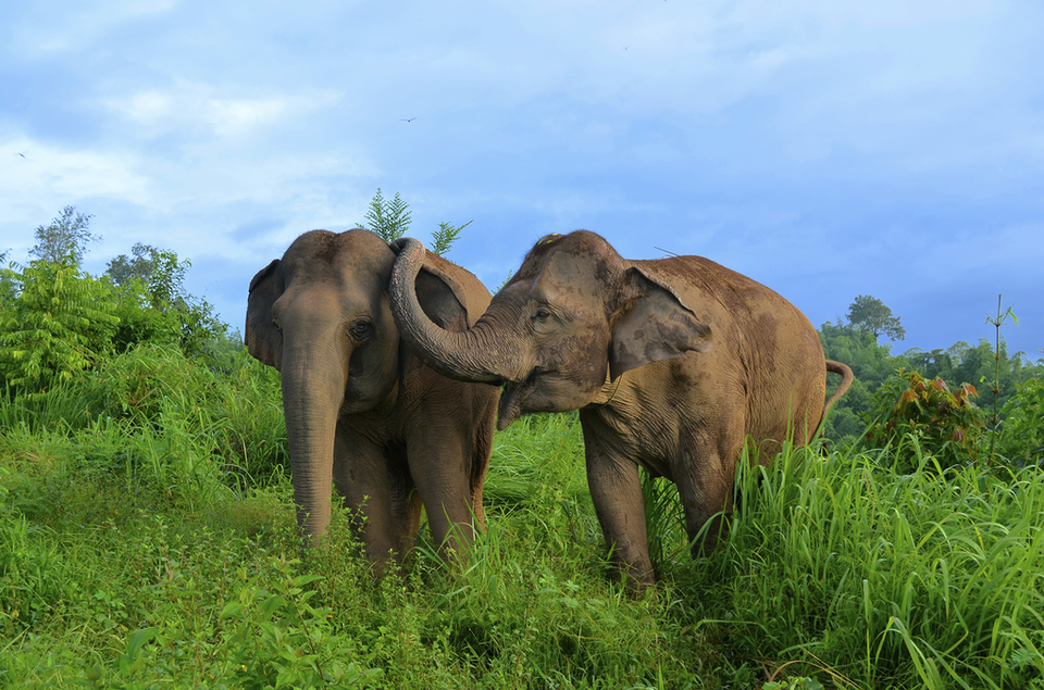 Photo of The Best Family Adventure Holidays – Unforgettable Experiences, Memories to Cherish by Peter Canecias