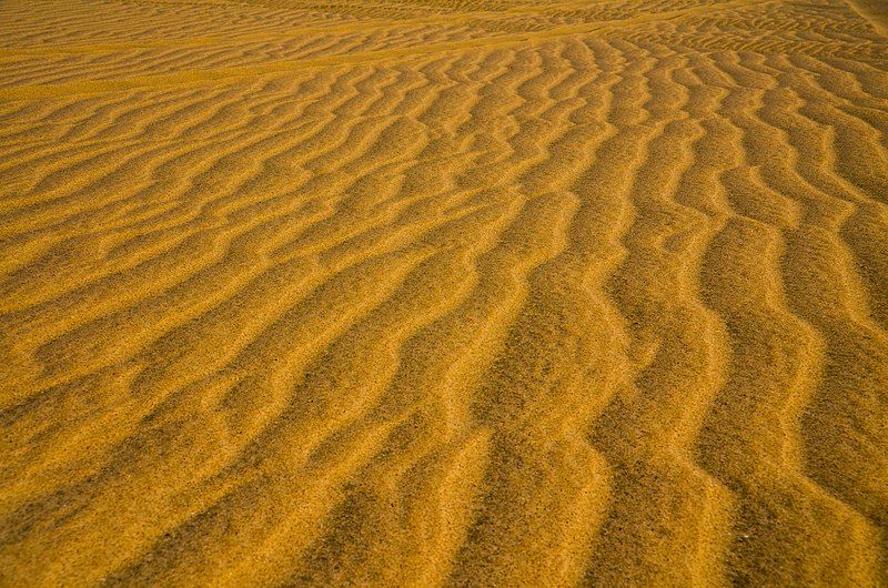 Photo of A Thrilling Ride Along the Desert – Go Dune Bashing in Doha by Peter Canecias