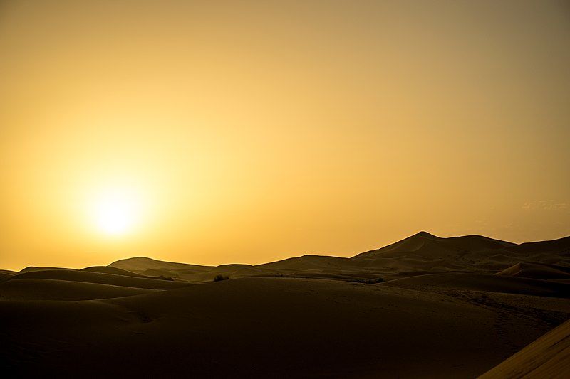 Photo of A Thrilling Ride Along the Desert – Go Dune Bashing in Doha by Peter Canecias