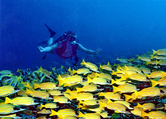 Photo of The most breathtaking places in the Maldives – Make lasting memories by Peter Canecias