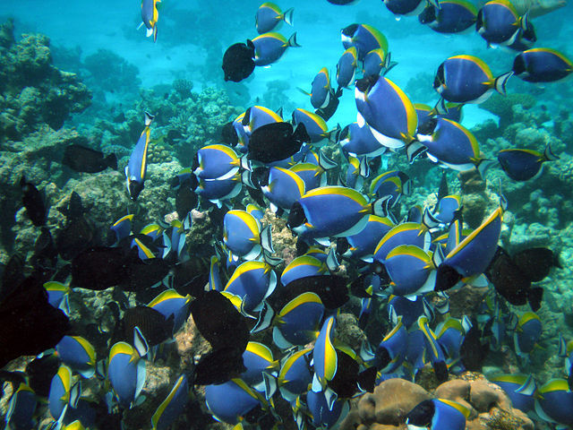 Photo of The most breathtaking places in the Maldives – Make lasting memories by Peter Canecias