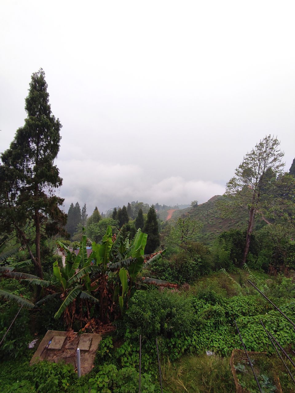 Photo of Queen of hills have so much to offer || Day- 1 by Boiling stories