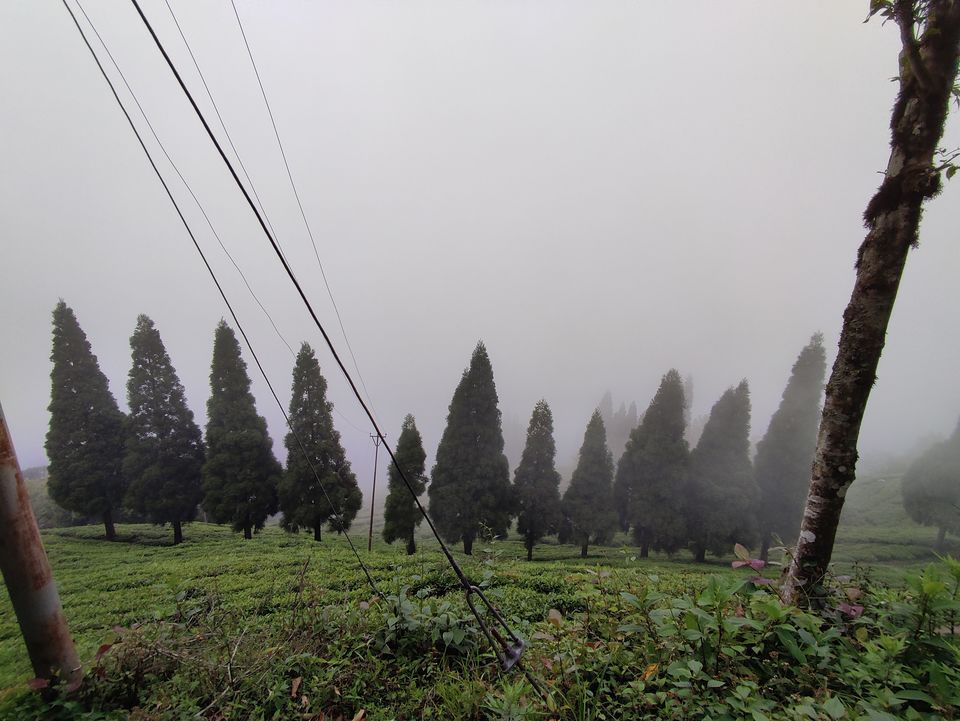 Photo of Queen of hills || Mall to Lamahata Park || Day 2 by Boiling stories