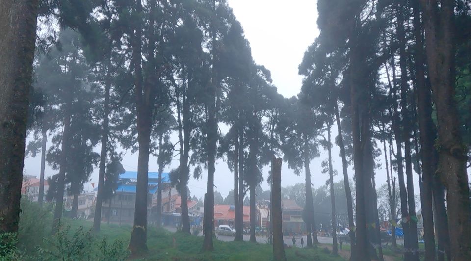 Photo of Indian to Nepal from Darjeeling | Day 3 by Boiling stories