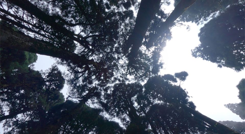 Photo of Indian to Nepal from Darjeeling | Day 3 by Boiling stories