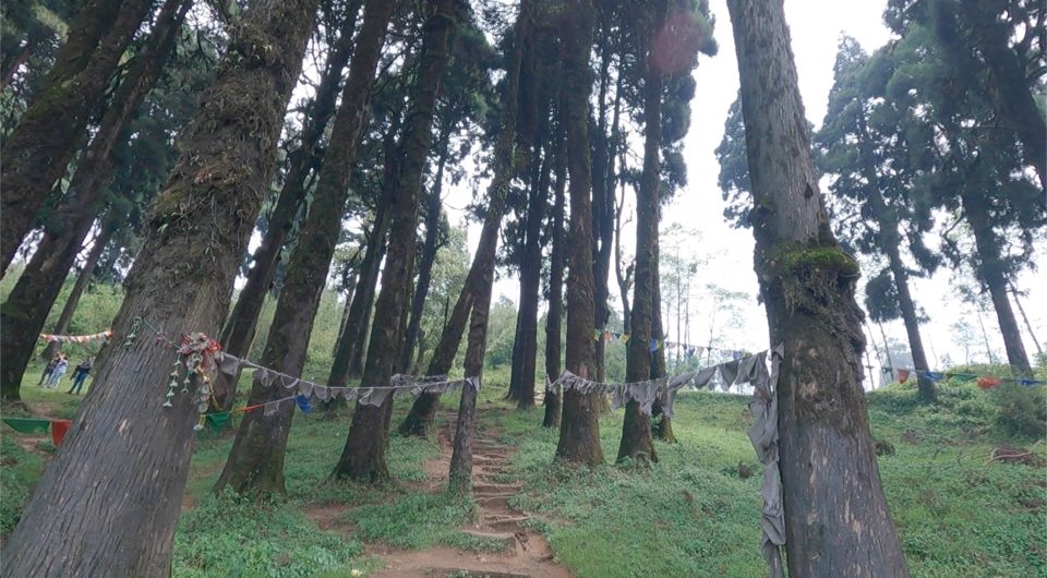 Photo of Indian to Nepal from Darjeeling | Day 3 by Boiling stories