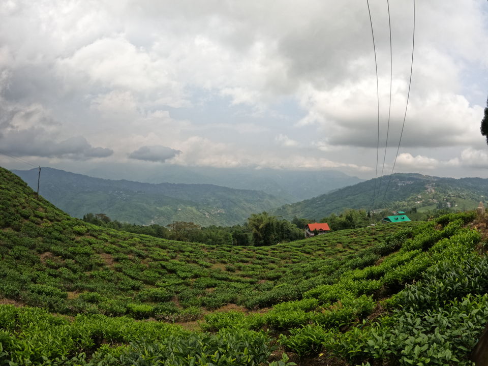 Photo of Indian to Nepal from Darjeeling | Day 3 by Boiling stories