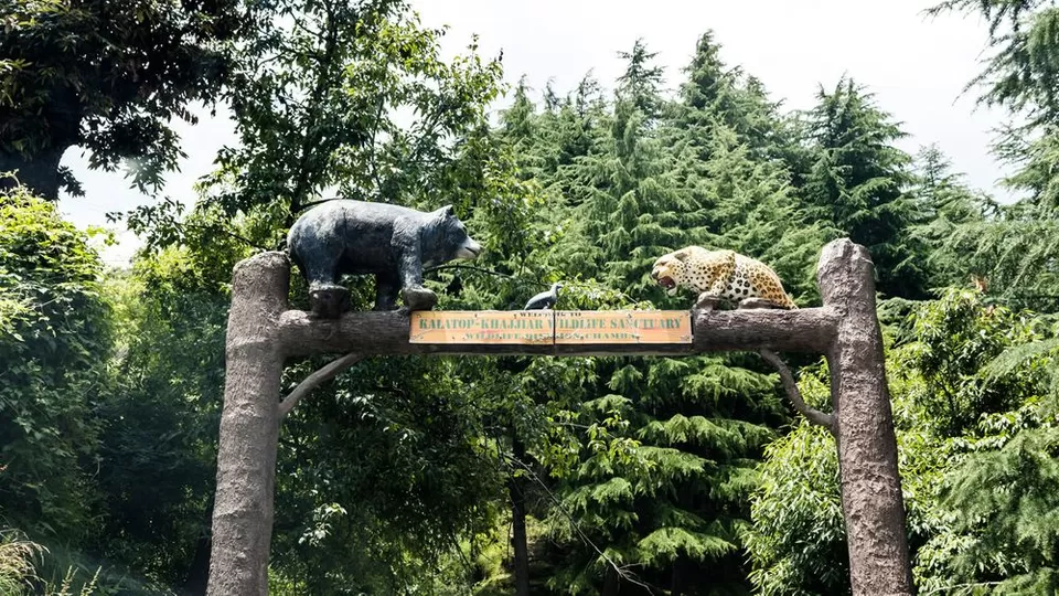 Photo of Kalatop Wildlife Sanctuary, Kalatope R.F by We The Wanderfuls