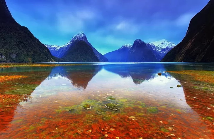 Photo of New Zealand by We The Wanderfuls