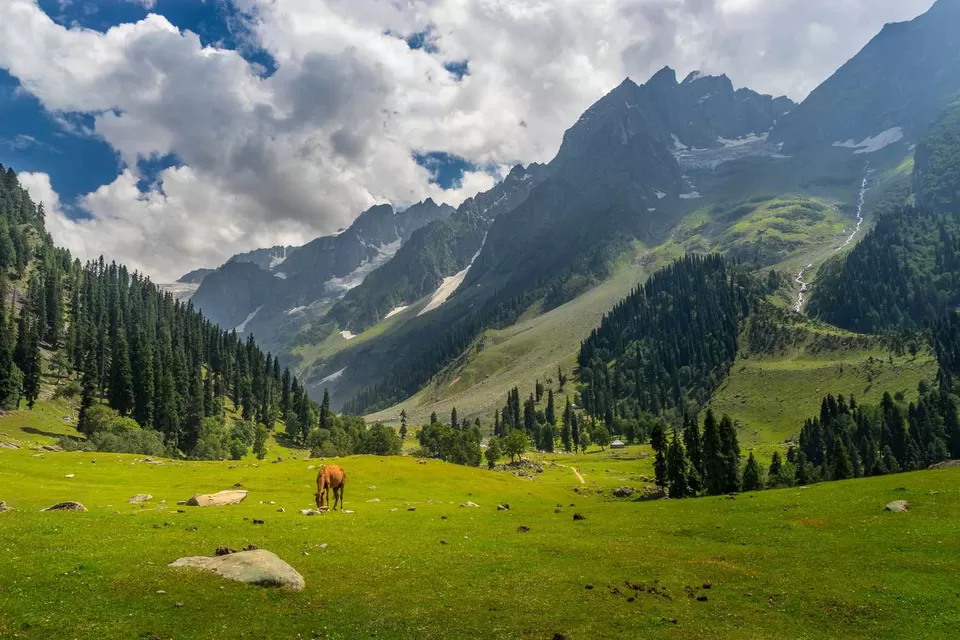 Photo of India by We The Wanderfuls