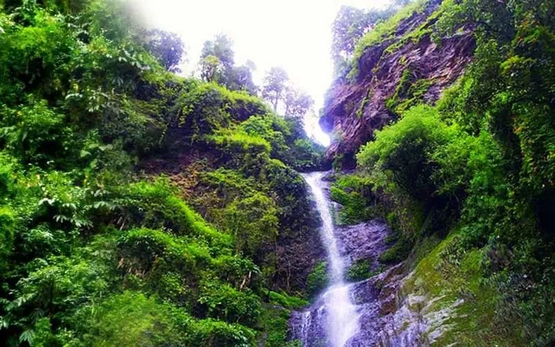 Photo of Chadwick Falls, Shimla by We The Wanderfuls