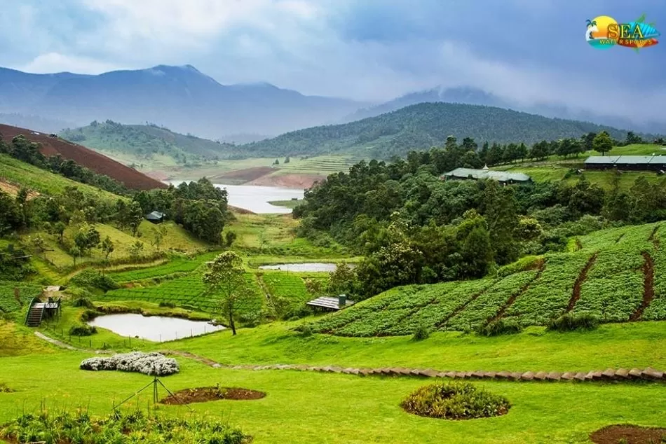 Photo of Koroli, Nashik Division by We The Wanderfuls