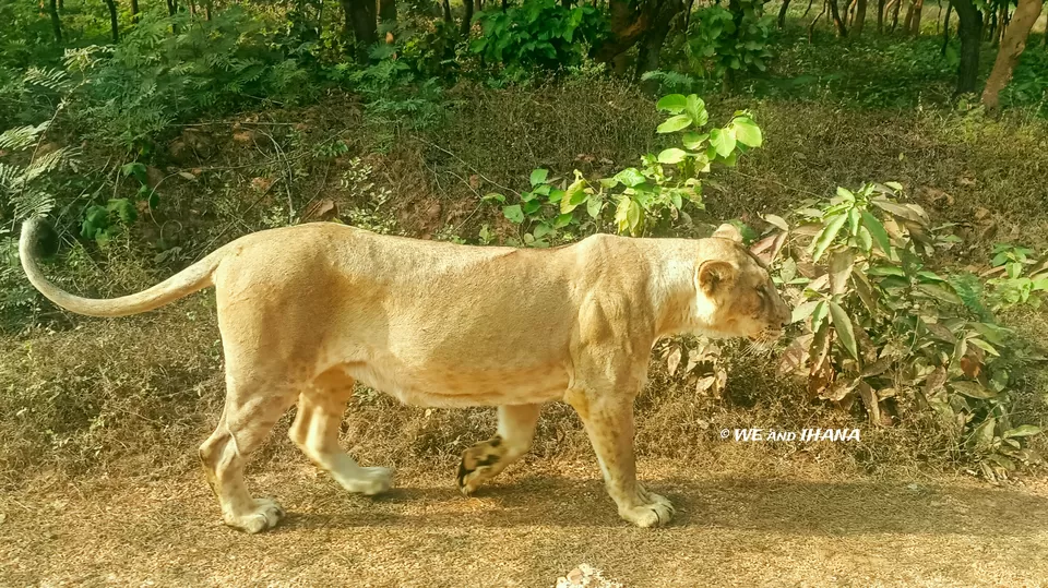 Photo of Rajgir, Patna Division by We The Wanderfuls