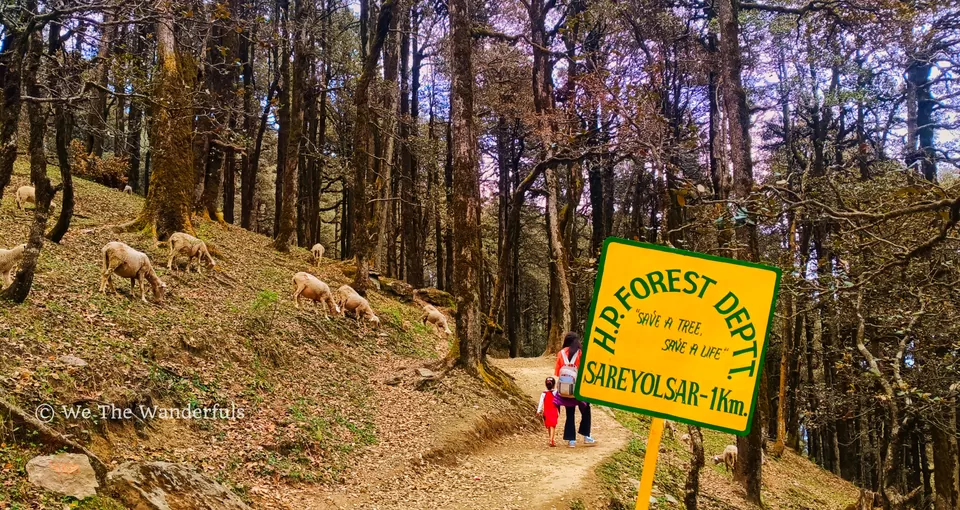 Photo of छुट्टियों में 'जीभी' जा रहे हैं तो जंगल के ट्रेक के साथ इस सुकून भरी खूबसूरत झील को मिस मत कर देना! by We The Wanderfuls