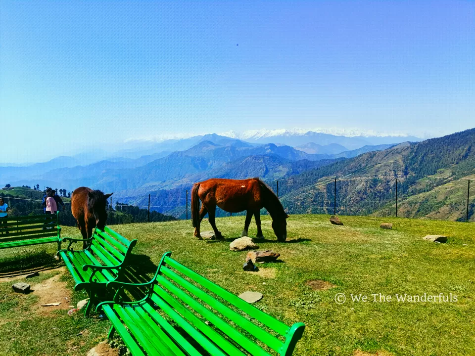 Photo of कुल्लू से 60 किमी दूर बिना भीड़ के शानदार प्राकृतिक नज़ारों वाली पैराग्लाइडिंग का आनंद वो भी कम बजट मे by We The Wanderfuls