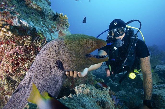 Photo of What Makes Oman the Undiscovered Gem of the Gulf? by Nain Tara