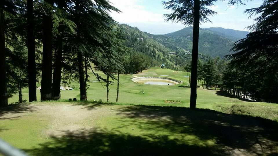 Photo of Naldehra, Shimla by Ranjit Sekhon Vlogs