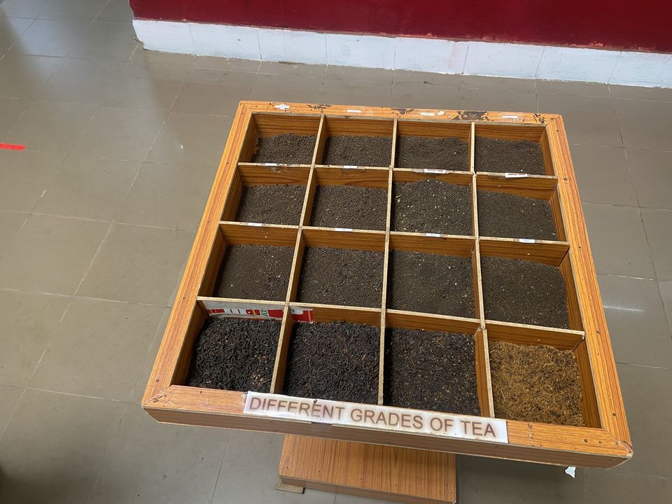Photo of Ripple Tea Museum, A Must Visited place in Munnar by Ranjit Sekhon Vlogs