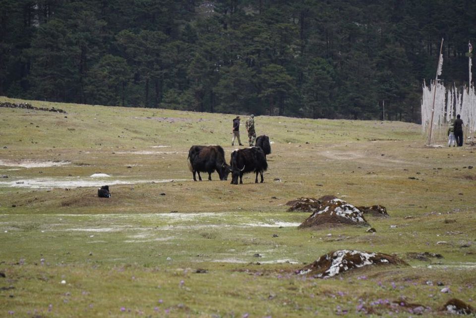 Photo of Sikkim - The Ultimate Beauty - Part-II by Priti Tikle