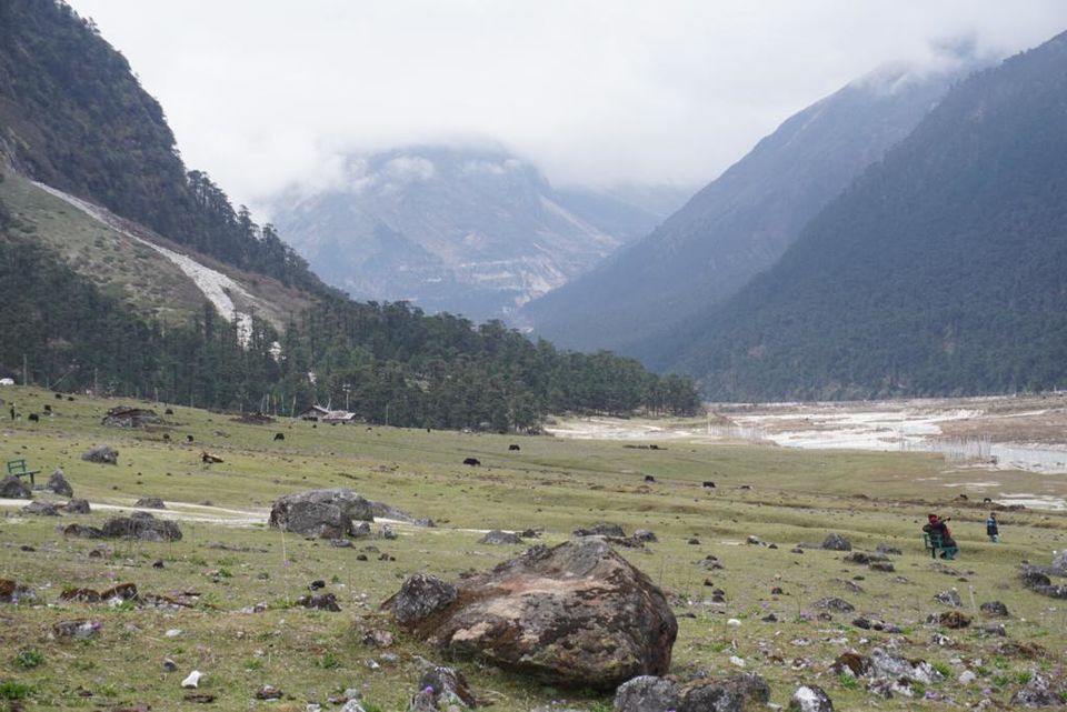Photo of Sikkim - The Ultimate Beauty - Part-II by Priti Tikle