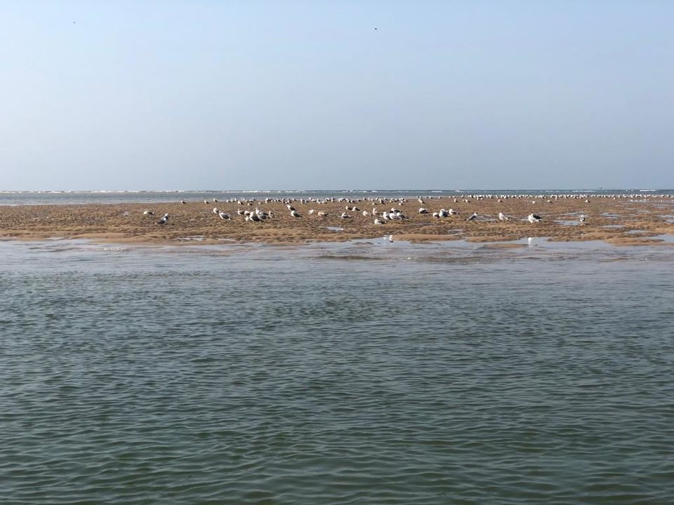 Photo of Tarkarli : The Gem of Konkan by Priti Tikle