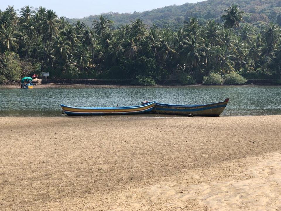 Photo of Tarkarli : The Gem of Konkan by Priti Tikle