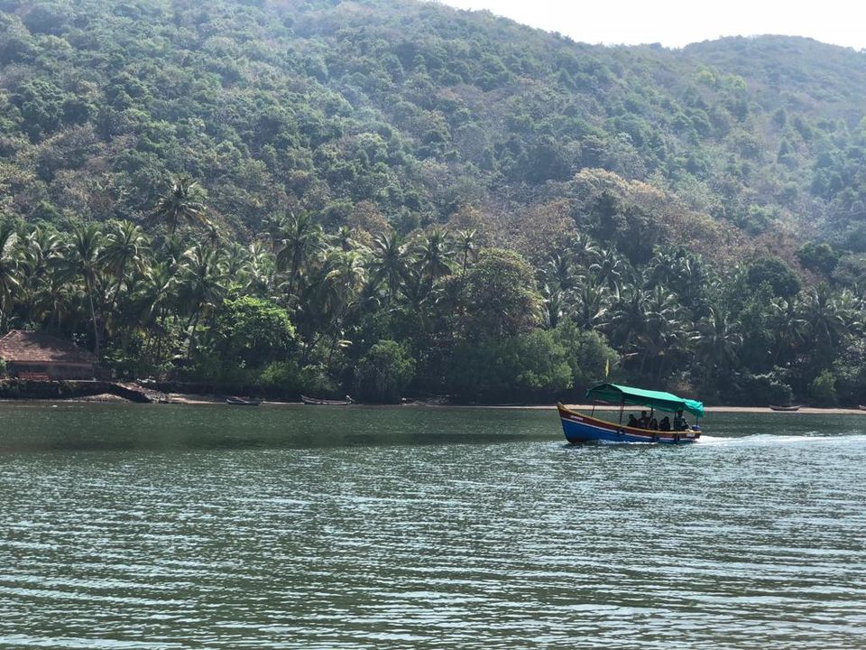 Photo of Tarkarli : The Gem of Konkan by Priti Tikle