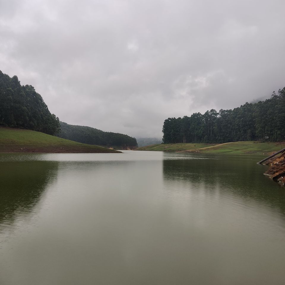 Photo of Munnar - A Paradise in South India by Pramod Alavandi