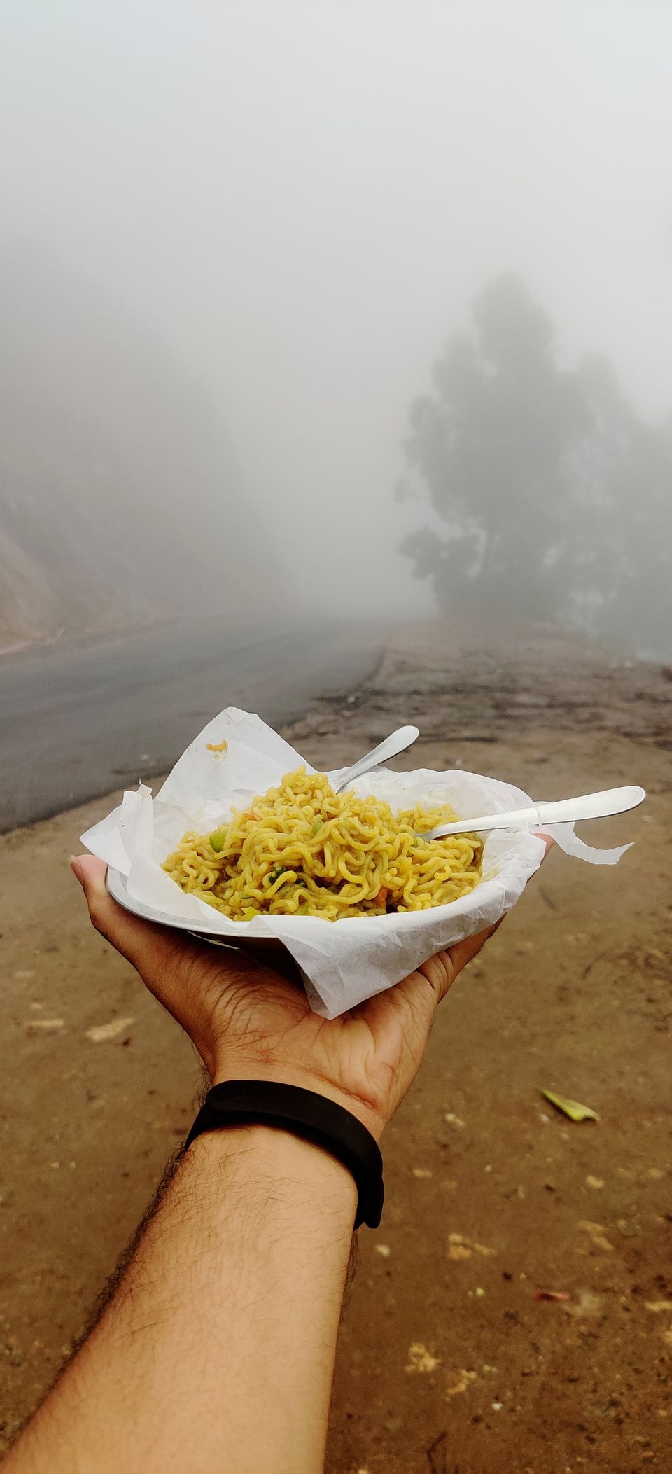 Photo of Munnar - A Paradise in South India by Pramod Alavandi
