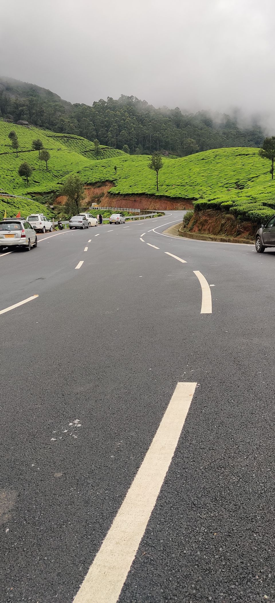 Photo of Munnar - A Paradise in South India by Pramod Alavandi