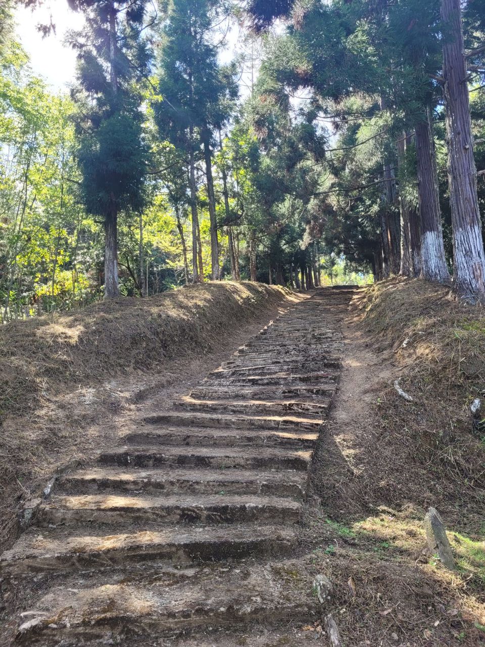 Photo of Magical Mokokchung by Purabi Chowdhury