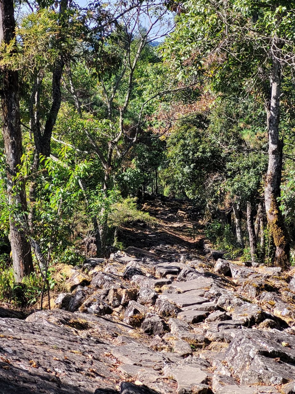 Photo of Magical Mokokchung by Purabi Chowdhury