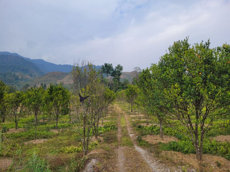 Photo of A road trip we undertook due to Omicron scare by Purabi Chowdhury