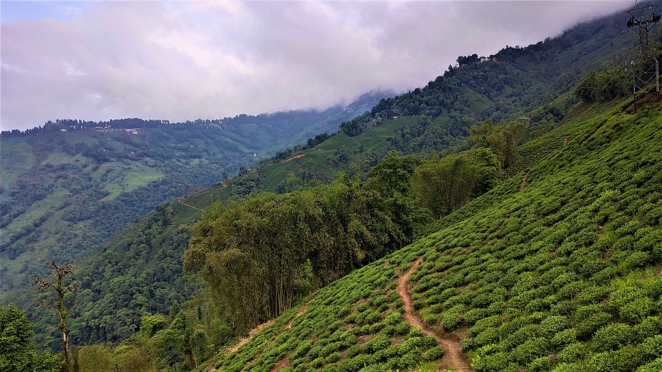 Photo of Darjeeling - Nepal (little bit) with my Lens by Yogesh K