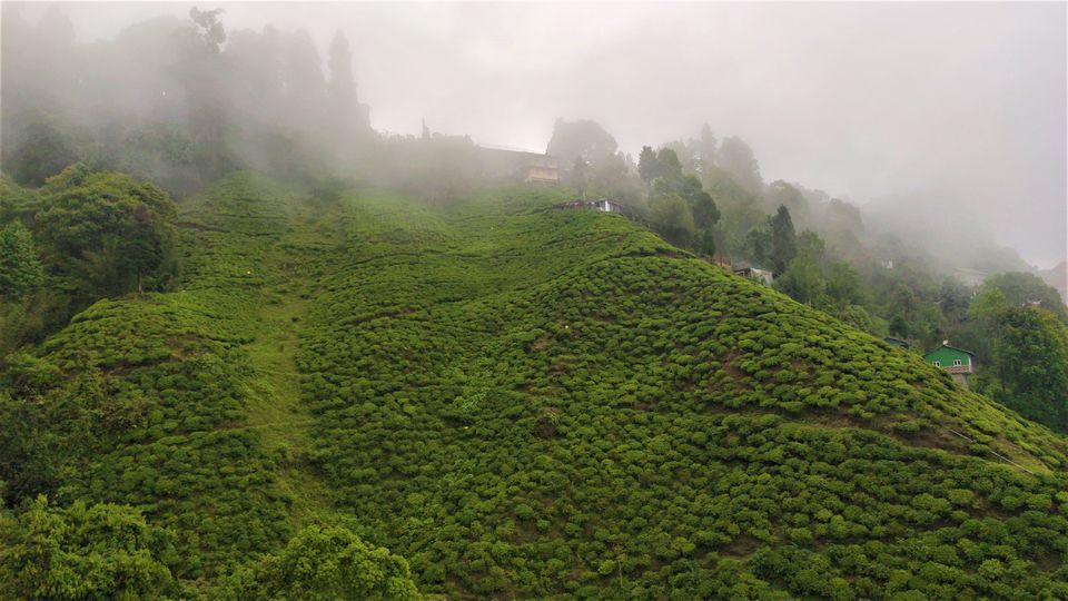 Photo of Darjeeling - Nepal (little bit) with my Lens by Yogesh K