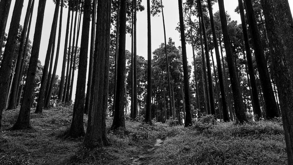 Photo of Darjeeling - Nepal (little bit) with my Lens by Yogesh K