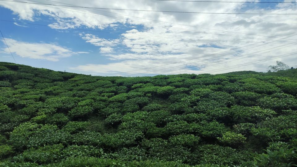 Photo of Darjeeling - Nepal (little bit) with my Lens by Yogesh K